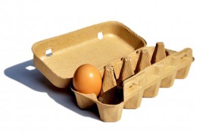 coQ10 egg health quality